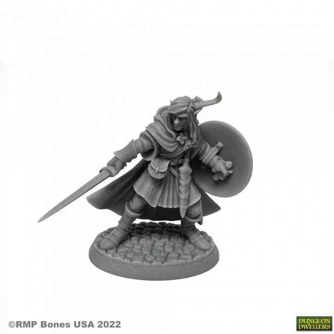 RPR 07026: Mellonir Windrunner, Elf Warrior - Dungeon Dwellers