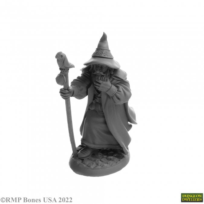 RPR 07068: Landol Griwsold, Human Wizard - Dungeon Dwellers