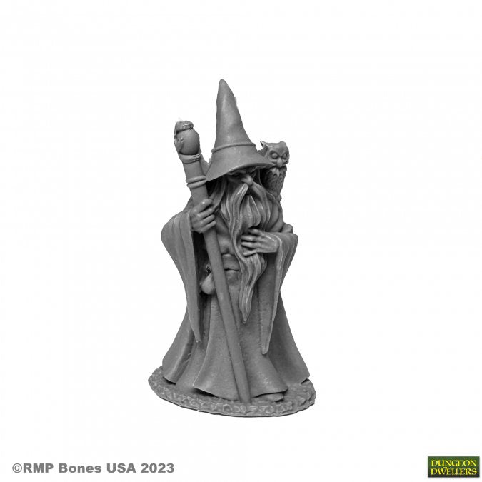 RPR 07077: Anuminar Winterbeard, Wizard - Dungeon Dwellers