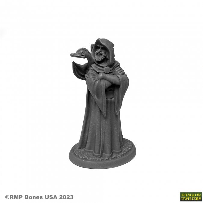 RPR 07079: Zenfis Zadar, Wizard - Dungeon Dwellers