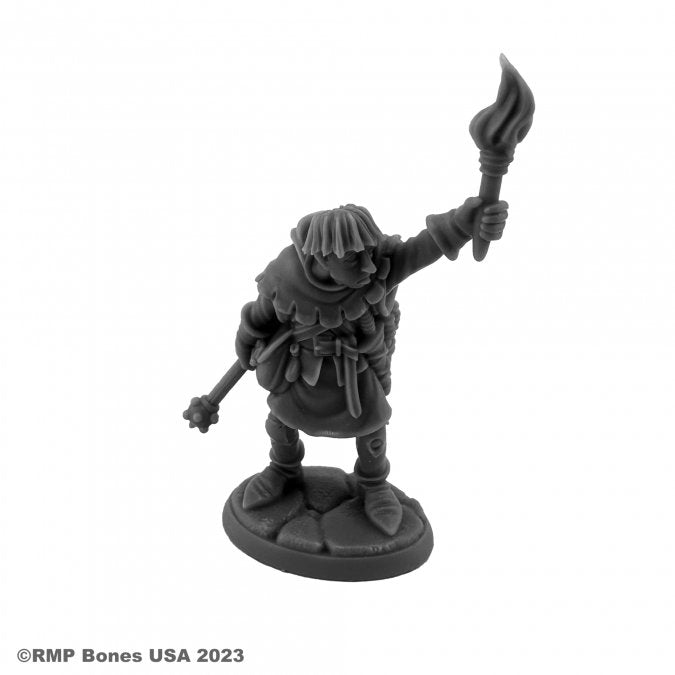 RPR 07110: Henchmen, Linkboy - Dungeon Dwellers