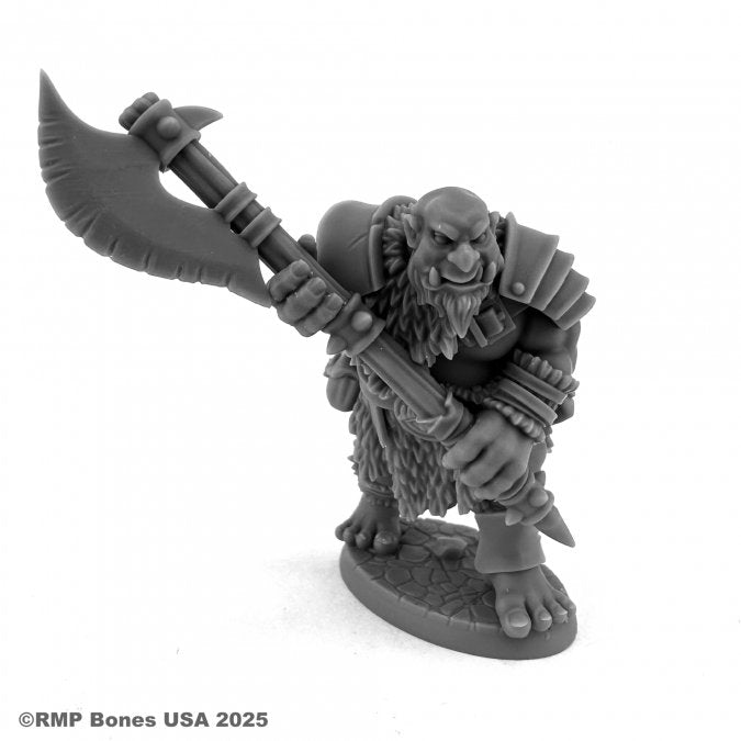 RPR 07208: Ogre Bodyguard - Dungeon Dwellers