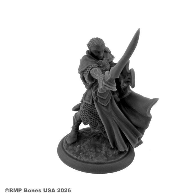 RPR 07229: Loryn Stormblade, Elf Warrior - Dungeon Dwellers