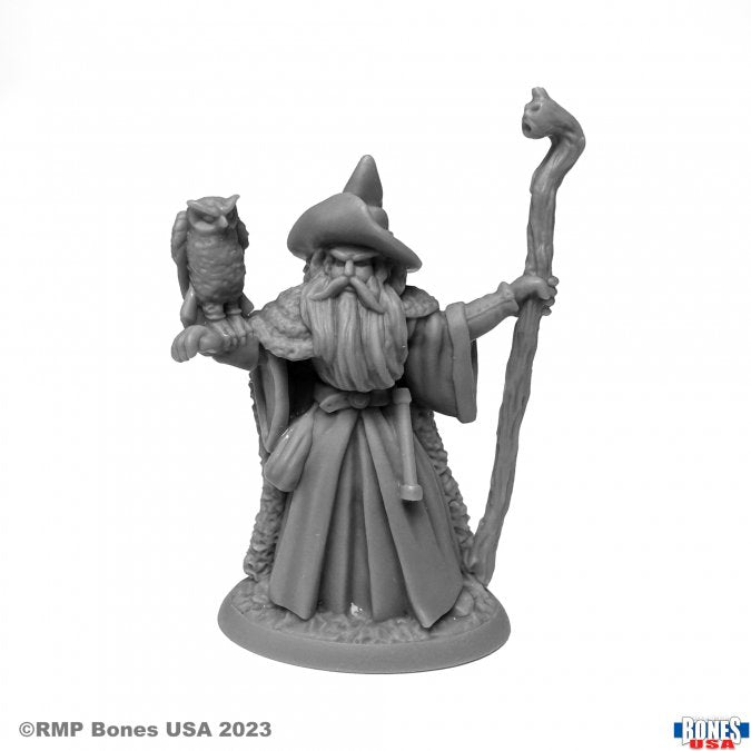 RPR 30129: Amathor the Arch Mage - Reaper Legends