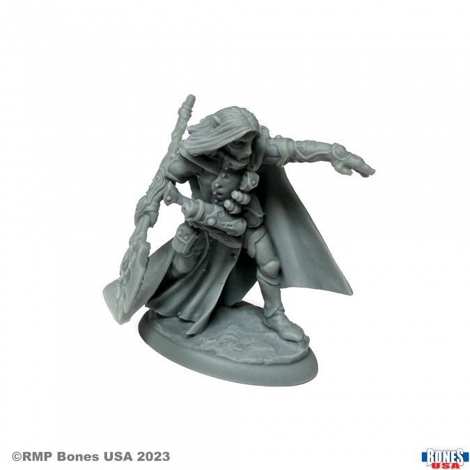 RPR 30158: Elquin the Daring - Reaper Legends