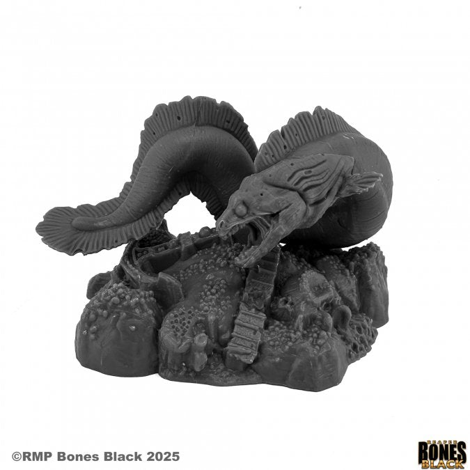 RPR 44215: Giant Moray Eel - Bones Black