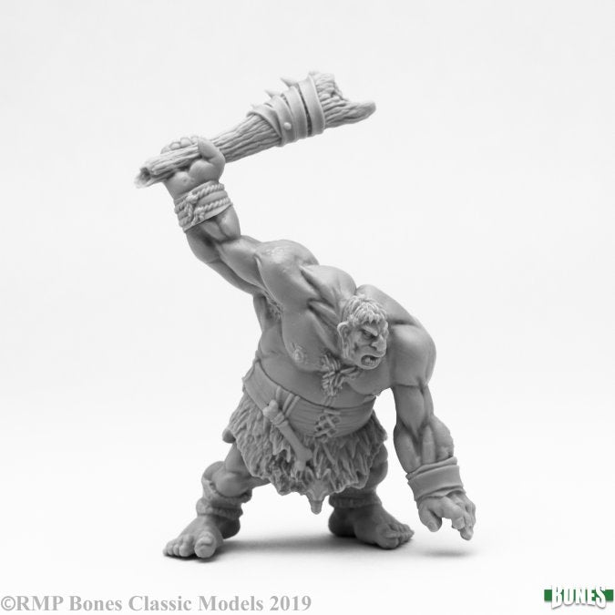 RPR 77475: Hill Giant Lowland Warrior - Bones