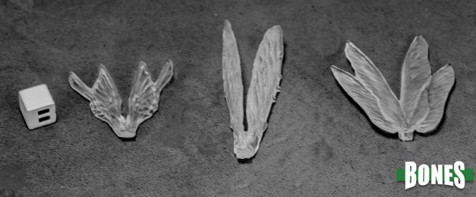 RPR 77582: Transparent Wings (3 Figures) - Bones