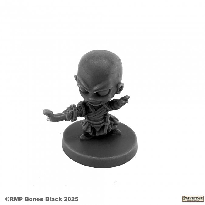 RPR 89063: Sajan, Iconic Chibi Monk - Pathfinder Bones