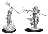 Dungeons and Dragons: Human Druid