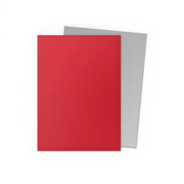 Dragon Shield Sleeves: Standard DUAL Matte- Crimson & Silver