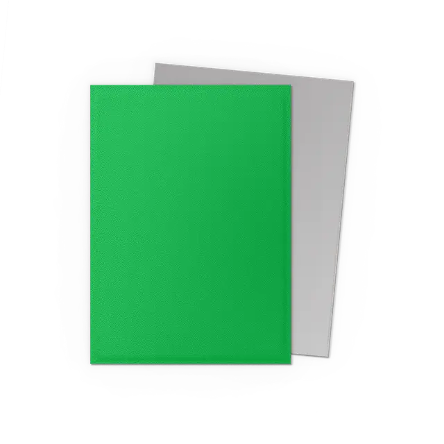 Dragon Shield Sleeves: Standard DUAL Matte- Apple Green & Silver