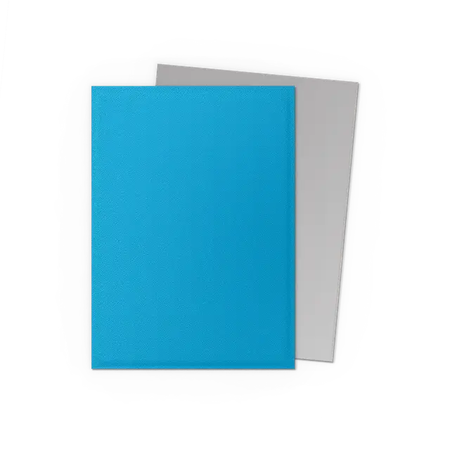 Dragon Shield Sleeves: Standard DUAL Matte- Sky Blue & Silver