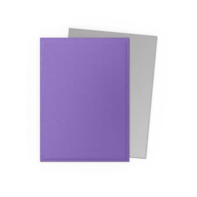 Dragon Shield Sleeves: Standard DUAL Matte- Nebula & Silver