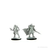 D&D Dragonborn Fighter