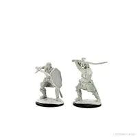 Dungeons and Dragons: Human Paladin
