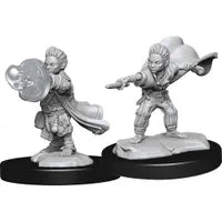 Pathfinder Male Halfling Wizard