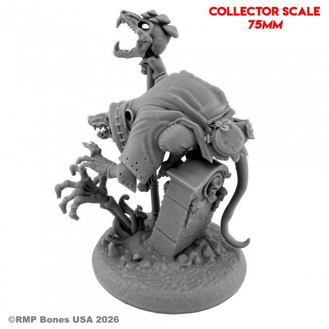 RPR 01328: Scrabblebones, Possum Necromancer (75mm) - Reaper Legends