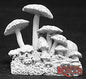 RPR 02695: Fungus Patch - Dark Heaven