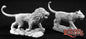 RPR 02776: Male And; Female Lion - Dark Heaven