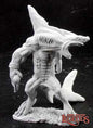 RPR 02890: Wereshark - Dark Heaven