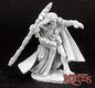 RPR 02974: Elquin, High Elf Adventurer - Dark Heaven