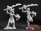 RPR 03127: Fallen Elves - Dark Heaven - 2 Figures