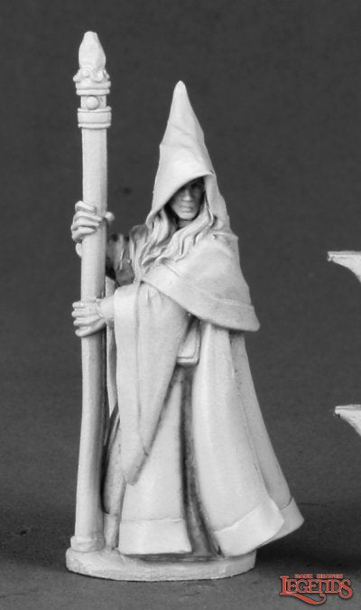 RPR 03491: Anirion, Wood Elf Wizard - Dark Heaven