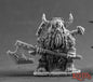 RPR 03690: Dwarf Bodyguard - Dark Heaven