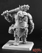 RPR 03712: Ogre Guard - Dark Heaven Legends