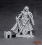 RPR 03863: Alandin, Elf Paladin - Dark Heaven Legends