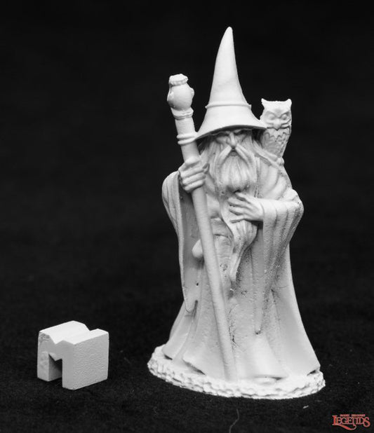RPR 03953: Anuminar Winterbeard, Wizard - Dark Heaven