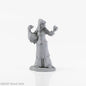 RPR 04022: ReaperCon 2020 Brinewind Townsfolk: Goose Lady - Dark Heaven