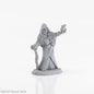 RPR 04023: ReaperCon 2020 Brinewind Townsfolk: Fruit Lady - Dark Heaven