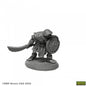 RPR 07007: Orc Warrior of the Ragged Wound - Dungeon Dwellers