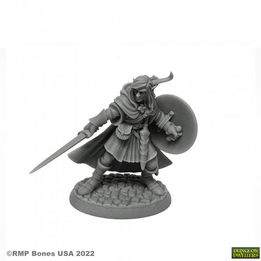 RPR 07026: Mellonir Windrunner, Elf Warrior - Dungeon Dwellers