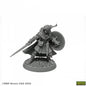 RPR 07026: Mellonir Windrunner, Elf Warrior - Dungeon Dwellers