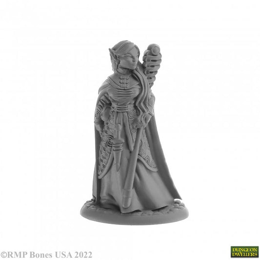 RPR 07028: Anthanelle, Elf Wizard - Dungeon Dwellers