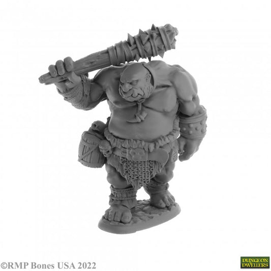 RPR 07063: Ogre Guard - Dungeon Dwellers