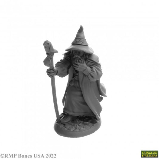 RPR 07068: Landol Griwsold, Human Wizard - Dungeon Dwellers