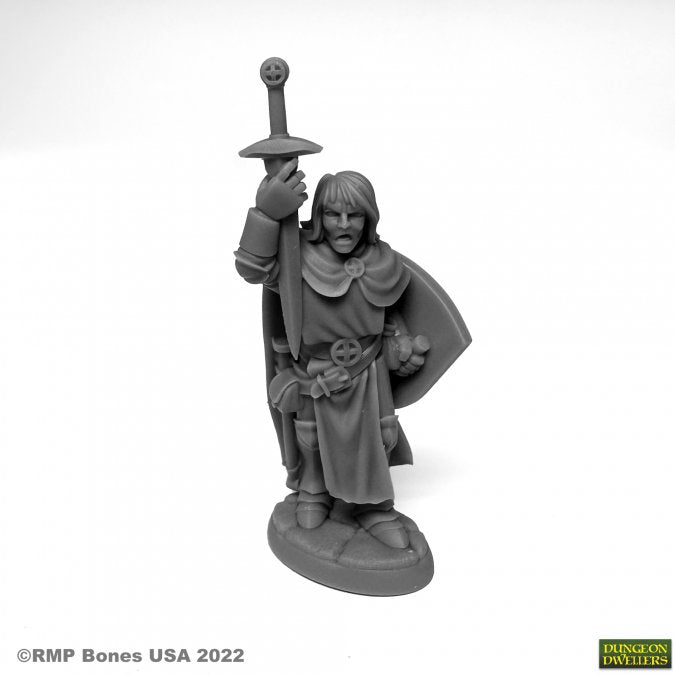 RPR 07076: Sir Danarel the Holy - Dungeon Dwellers