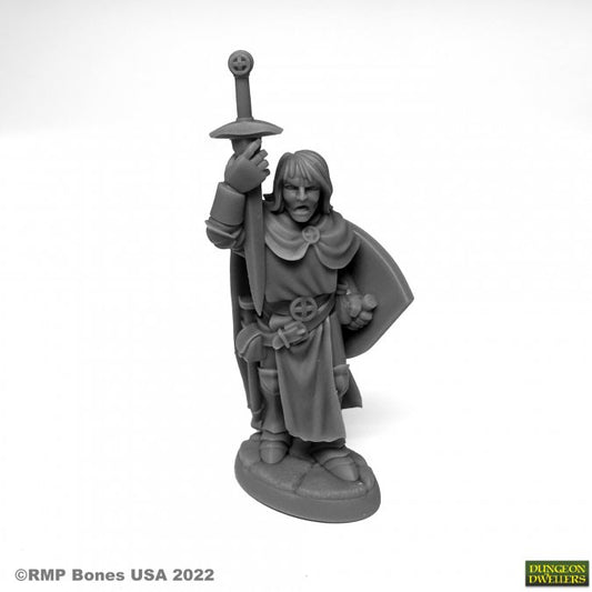 RPR 07076: Sir Danarel the Holy - Dungeon Dwellers