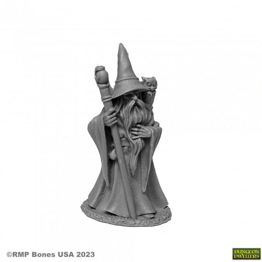 RPR 07077: Anuminar Winterbeard, Wizard - Dungeon Dwellers