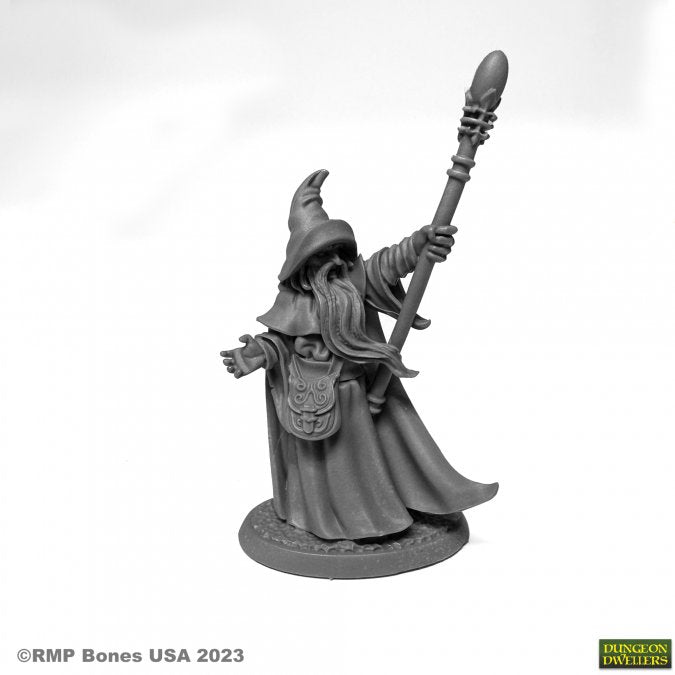 RPR 07080: Arakus Landarzad, Wizard - Dungeon Dwellers