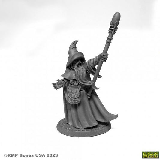 RPR 07080: Arakus Landarzad, Wizard - Dungeon Dwellers
