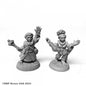 RPR 07103: Halfling Cleric and Bard - Dungeon Dwellers