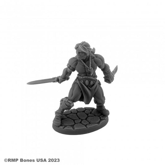 RPR 07116: Hyborian Hero - Dungeon Dwellers