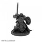 RPR 07192: Ansel, Paladin - Dungeon Dwellers