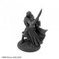 RPR 07229: Loryn Stormblade, Elf Warrior - Dungeon Dwellers