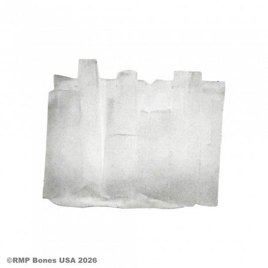 RPR 07236: Wall of Ice Spell Effect - Dungeon Dwellers